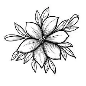 flower drawing