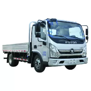 Foton Mini Truck