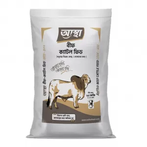 beef cattle feed