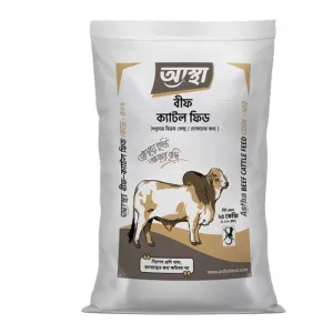 beef cattle feed _A