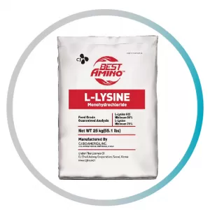 L-Lysine