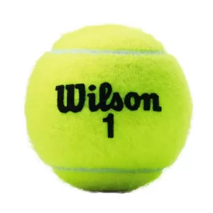 Wilson Tennis Ball