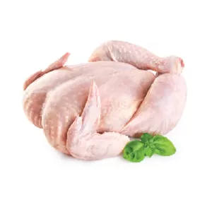 Broiler chicken